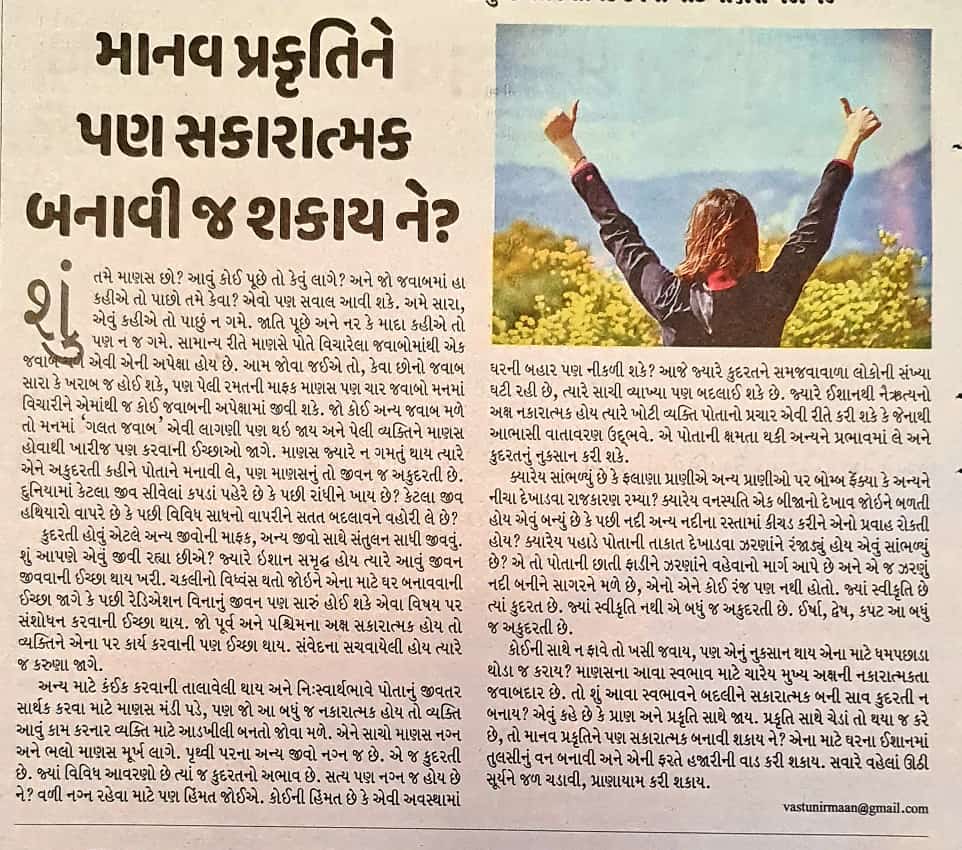 Newspaper Article
